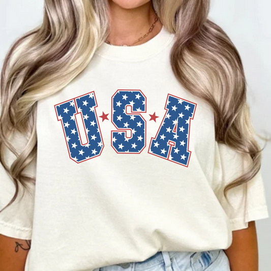 USA Comfort Colors Tshirt or District Crewneck Sweatshirt - Salted Words, LLC